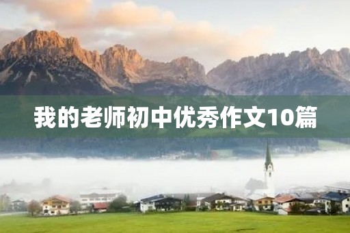 我的老师初中优秀作文10篇