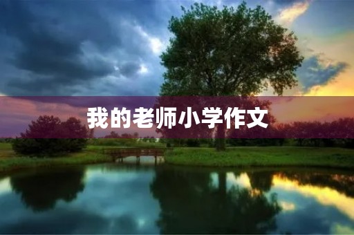 我的老师小学作文
