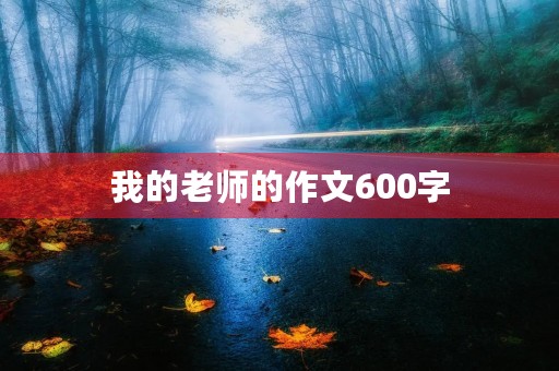 我的老师的作文600字