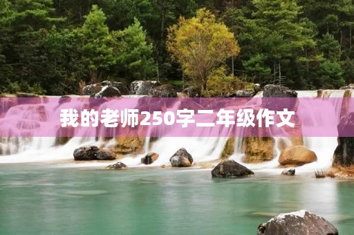 我的老师250字二年级作文