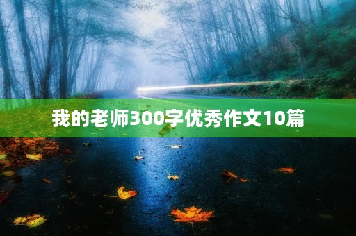 我的老师300字优秀作文10篇