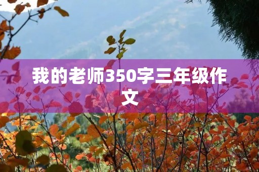 我的老师350字三年级作文