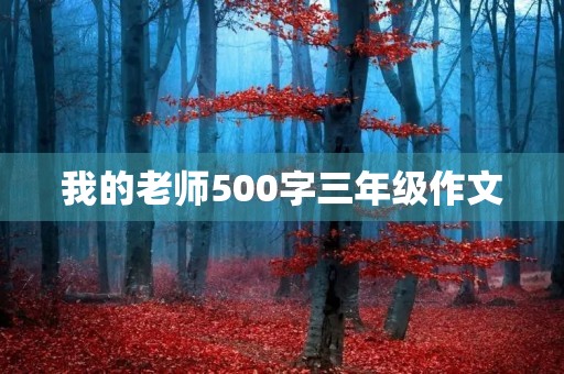 我的老师500字三年级作文