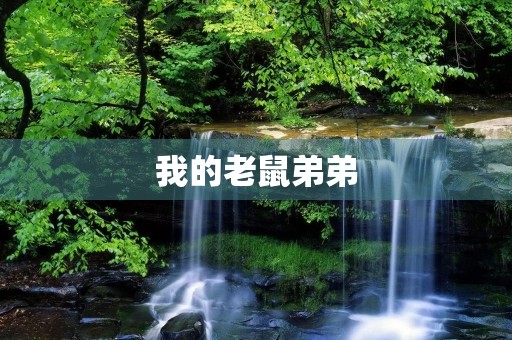我的老鼠弟弟 我的老鼠弟弟