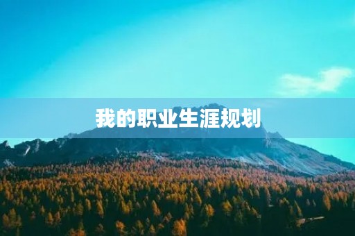 我的职业生涯规划 我的职业生涯规划