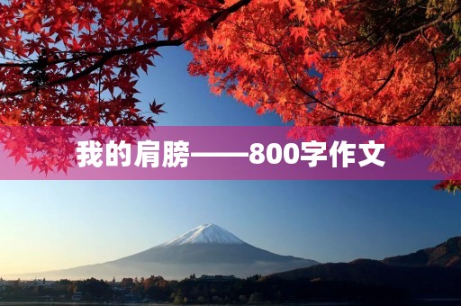 我的肩膀——800字作文