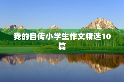我的自传小学生作文精选10篇 我的自传小学生作文精选10篇