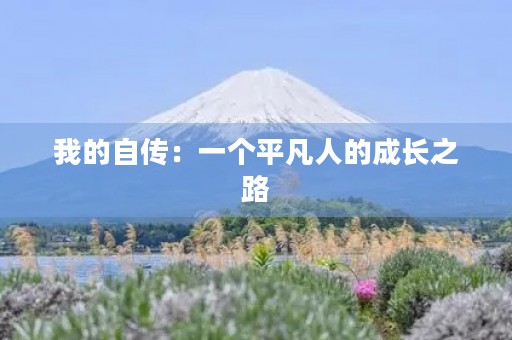 我的自传:一个平凡人的成长之路 我的自传:一个平凡人的成长之路