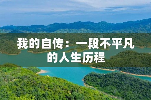 我的自传:一段不平凡的人生历程 我的自传:一段不平凡的人生历程