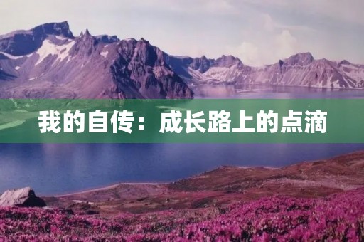 我的自传：成长路上的点滴