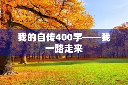 我的自传400字——我一路走来
