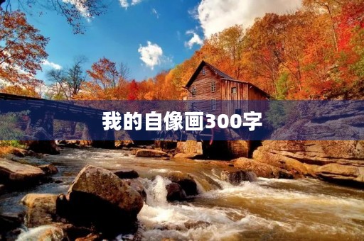 我的自像画300字 我的自像画300字