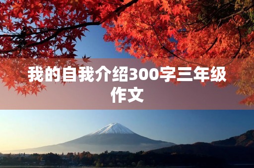 我的自我介绍300字三年级作文