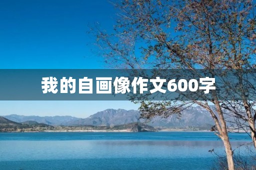 我的自画像作文600字