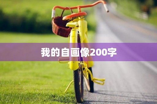 我的自画像200字