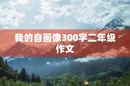 我的自画像300字二年级作文