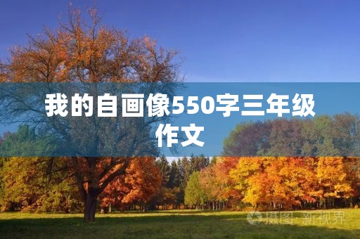 我的自画像550字三年级作文