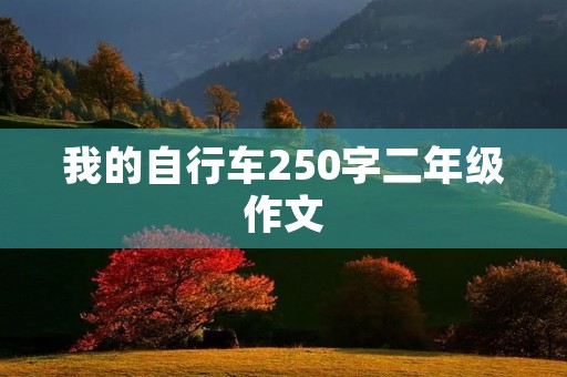 我的自行车250字二年级作文