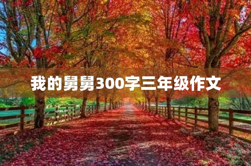 我的舅舅300字三年级作文