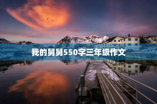 我的舅舅550字三年级作文