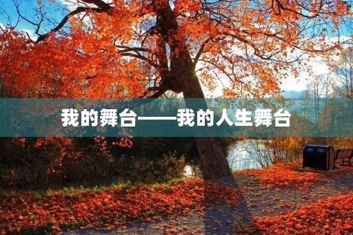 我的舞台——我的人生舞台 我的舞台——我的人生舞台