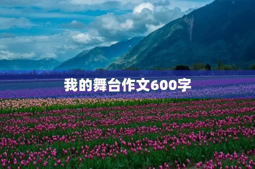 我的舞台作文600字 我的舞台作文600字