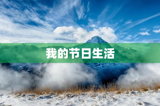 我的节日生活