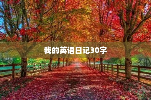 我的英语日记30字