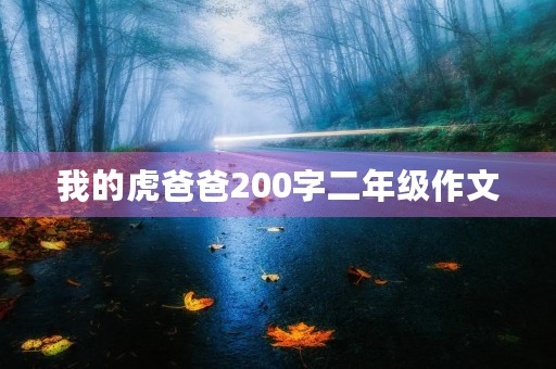 我的虎爸爸200字二年级作文