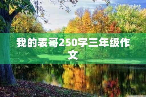 我的表哥250字三年级作文