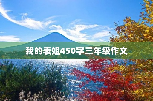 我的表姐450字三年级作文 我的表姐450字三年级作文