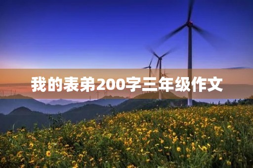 我的表弟200字三年级作文 我的表弟200字三年级作文