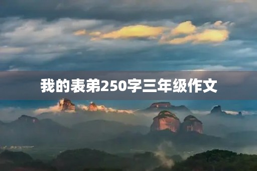 我的表弟250字三年级作文