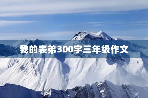 我的表弟300字三年级作文