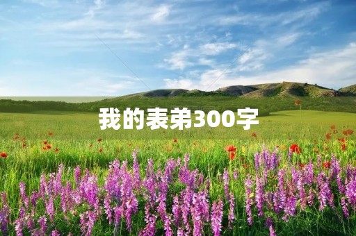 我的表弟300字