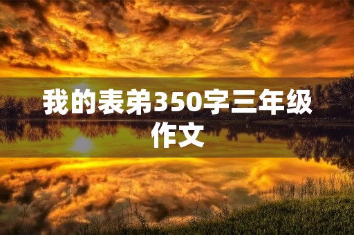 我的表弟350字三年级作文