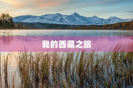 我的**之旅 我的**之旅