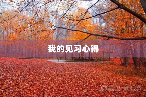 我的见习心得
