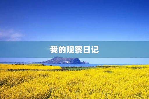 我的观察日记 我的观察日记