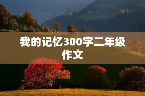 我的记忆300字二年级作文