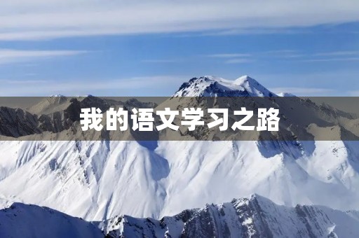 我的语文学习之路