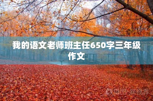 我的语文老师班主任650字三年级作文