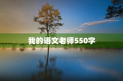 我的语文老师550字
