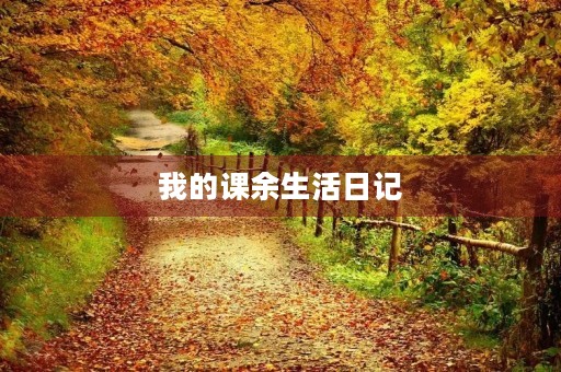 我的课余生活日记