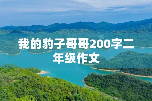 我的豹子哥哥200字二年级作文 我的豹子哥哥200字二年级作文