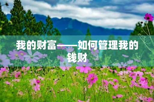 我的财富——如何管理我的钱财