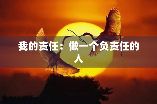 我的责任:做一个负责任的人 我的责任:做一个负责任的人