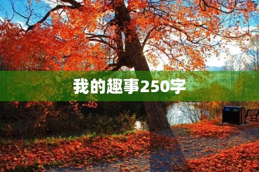 我的趣事250字