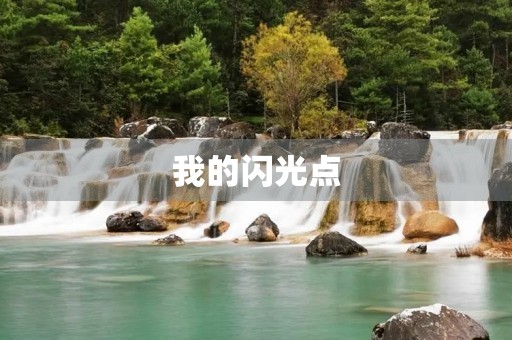我的闪光点