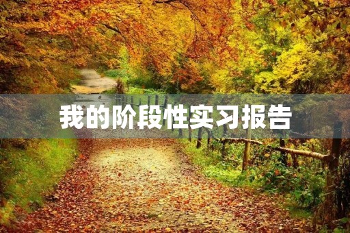 我的阶段性实习报告